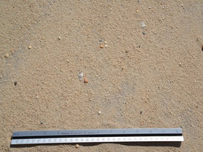 Beach Sand